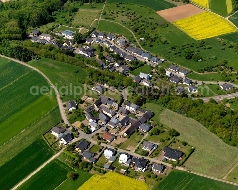 Lehmen from above - View of the hamlet of Lehmerhoefe in Lehmen in the state of Rhineland-Palatinate. The borough and municipiality is an official tourist resort and located in the county district of Mayen-Koblenz on the left riverbank of the river Moselle, surrounded by hills, forest and fields. The hamlet is located in the West of the village centre