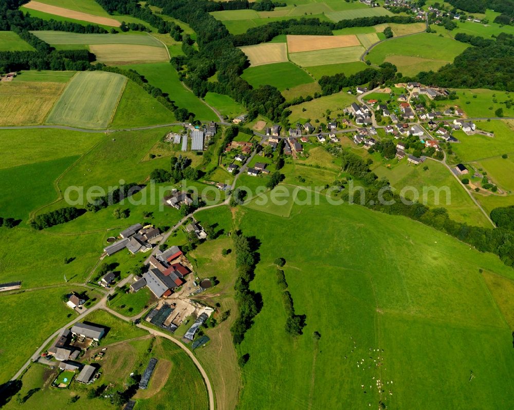 Aerial photograph Buchholz - View of the Mendt part of Buchholz in the state of Rhineland-Palatinate. The borough and municipiality Buchholz is located in the county district of Neuwied on the edge of the Westerwald forest region and surrounded by fields, meadows and hills. Mendt is an agriculturally informed village and is located in the North of the core village