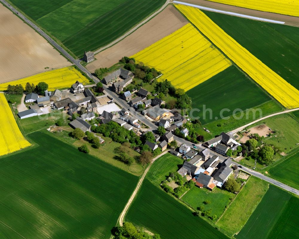 Kerben from the bird's eye view: View of the Minkelfeld part of Kerben in the state of Rhineland-Palatinate. The agricultural borough and municipiality is located in the county district of Mayen-Koblenz, in the Niedermaifelder Senke region and the South of the federal motorway A48, and is surrounded by meadows and rapeseed fields