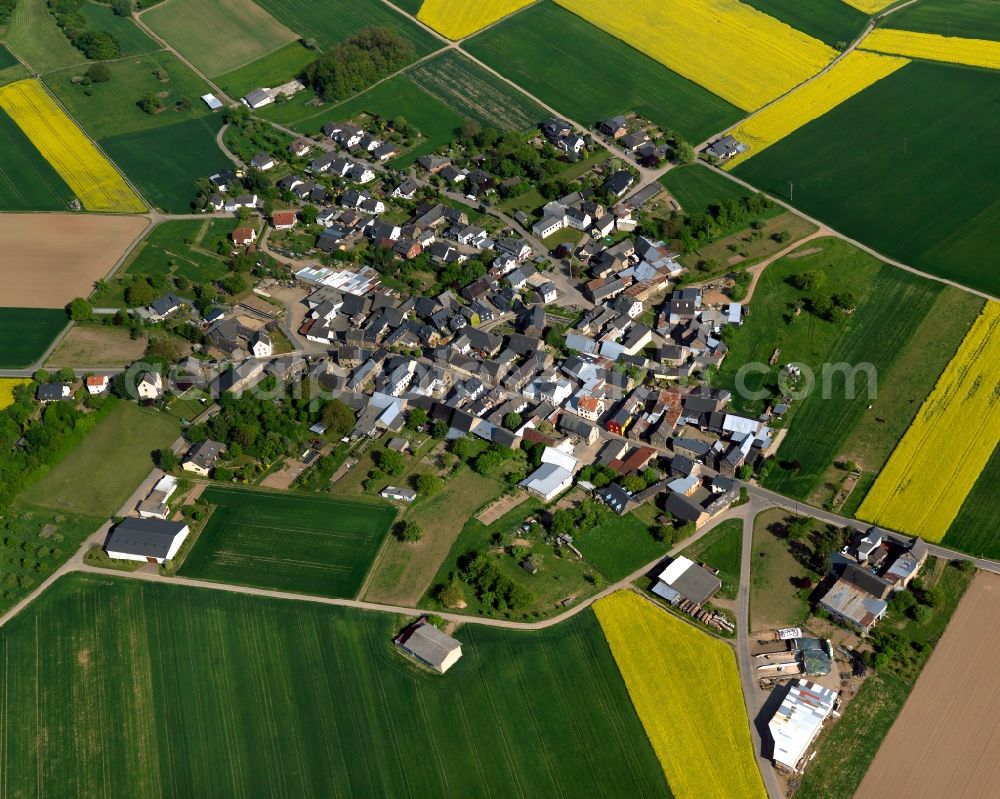 Lehmen from above - View of the Moselsuersch part of Lehmen in the state of Rhineland-Palatinate. The borough and municipiality is an official tourist resort and located in the county district of Mayen-Koblenz on the left riverbank of the river Moselle, surrounded by hills, forest and fields