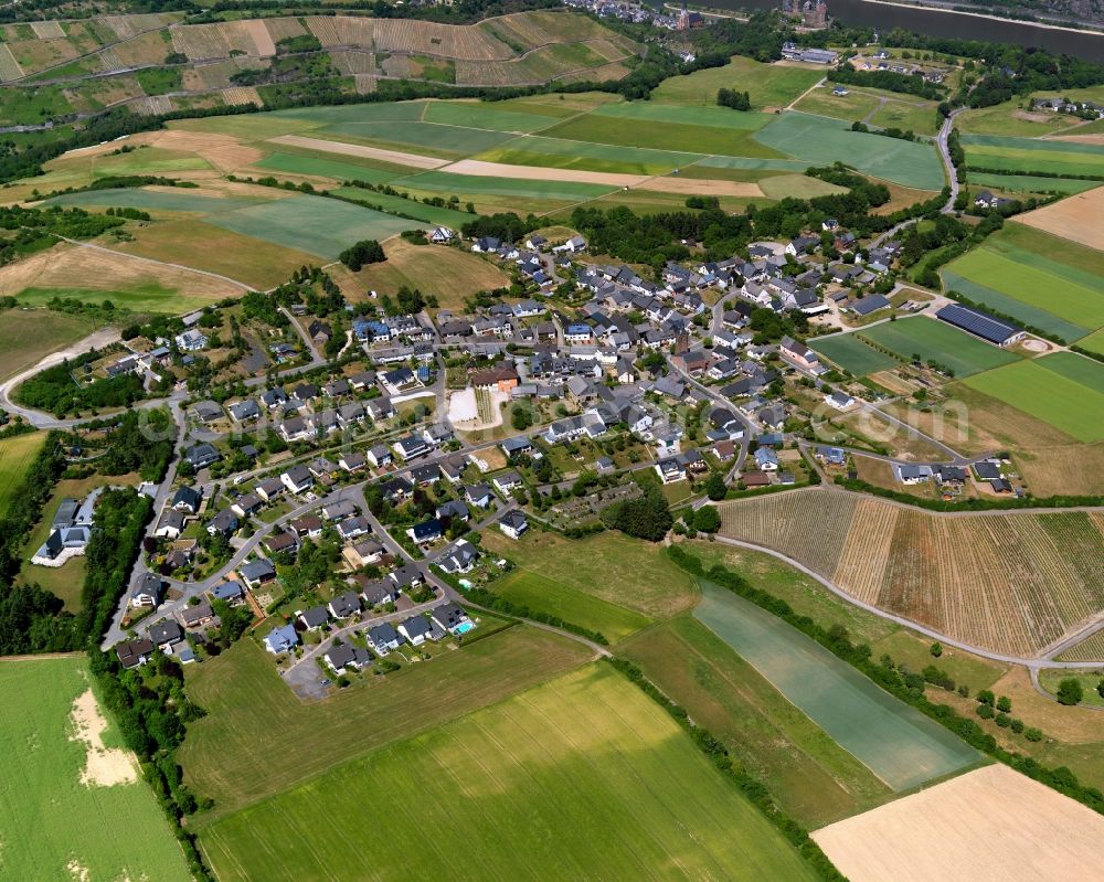 Aerial photograph Oberwesel - View of the Dellhofen part of the town of Oberwesel in the state of Rhineland-Palatinate. Oberwesel is a town and official tourist resort in the county district of Rhine-Hunsrueck. The agriculturally informed part Dellhofen is located in the Southwest of the town, surrounded by fields and meadows