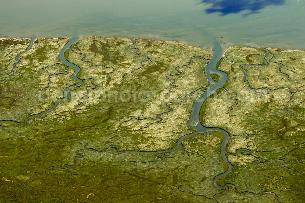 Aerial image Norderney - Ostheller- landscape and salt marshes in the Wadden Sea prils Norderney island as part of the East Frisian Islands in the North Sea in Lower Saxony