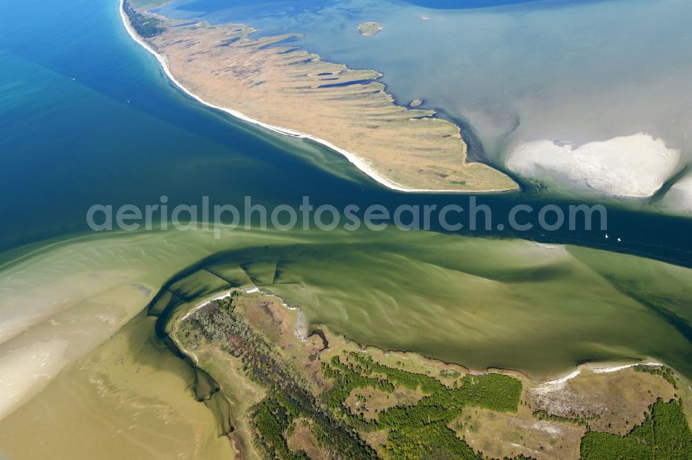 Aerial image Insel Hiddensee - Coastal area of the Baltic Sea in island Hiddensee in the state Mecklenburg - Western Pomerania