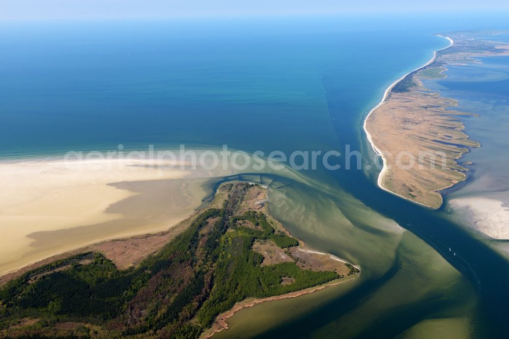 Aerial image Insel Hiddensee - Coastal area of the Baltic Sea in island Hiddensee in the state Mecklenburg - Western Pomerania