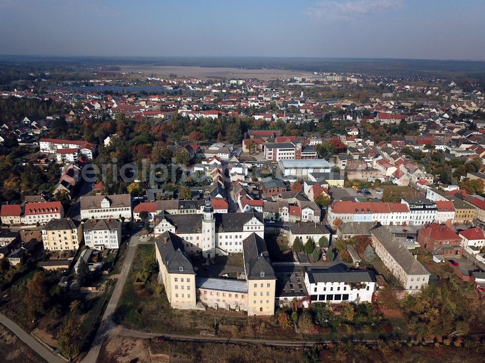 Coswig (Anhalt) from the bird's eye view: Palace in Coswig (Anhalt) in the state Saxony-Anhalt, Germany