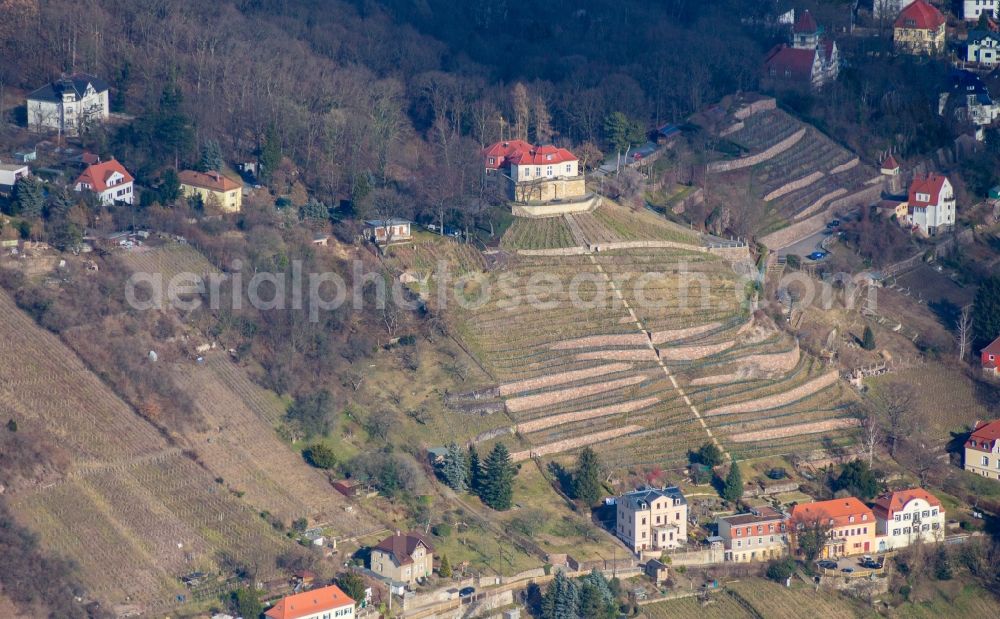 Radebeul from above - Palace in Radebeul in the state Saxony, Germany