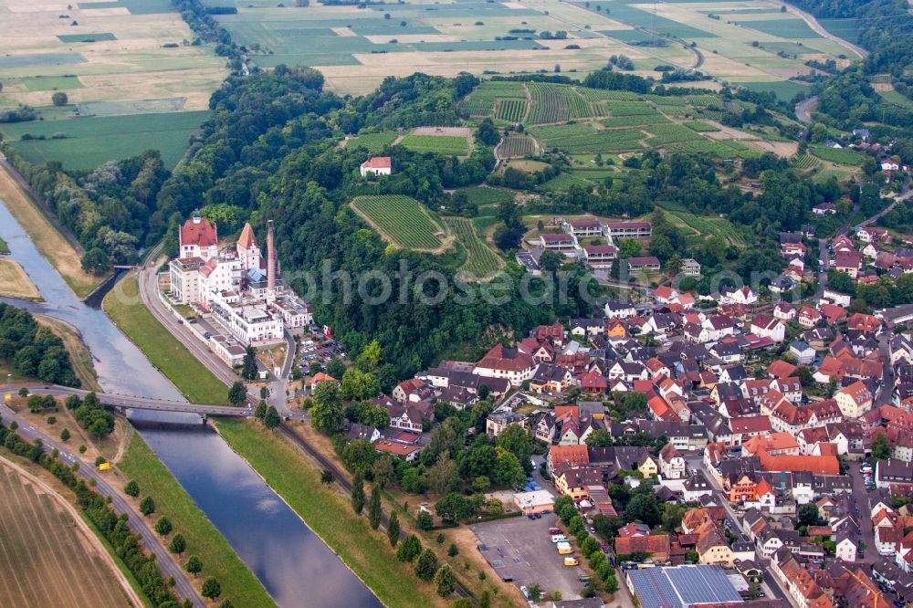 Aerial image Riegel am Kaiserstuhl - Palace Messmer Foundation on Grossherzog-Leopold-Platz in Riegel am Kaiserstuhl in the state Baden-Wuerttemberg