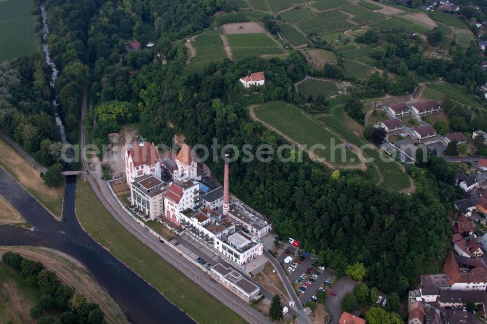 Aerial photograph Riegel am Kaiserstuhl - Palace Messmer Foundation on Grossherzog-Leopold-Platz in Riegel am Kaiserstuhl in the state Baden-Wuerttemberg