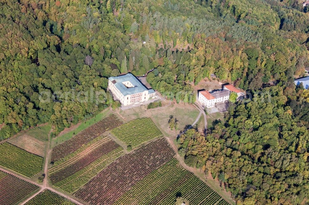 Aerial photograph Edenkoben - Palace Villa Ludwigshoehe in Edenkoben in the state Rhineland-Palatinate, Germany