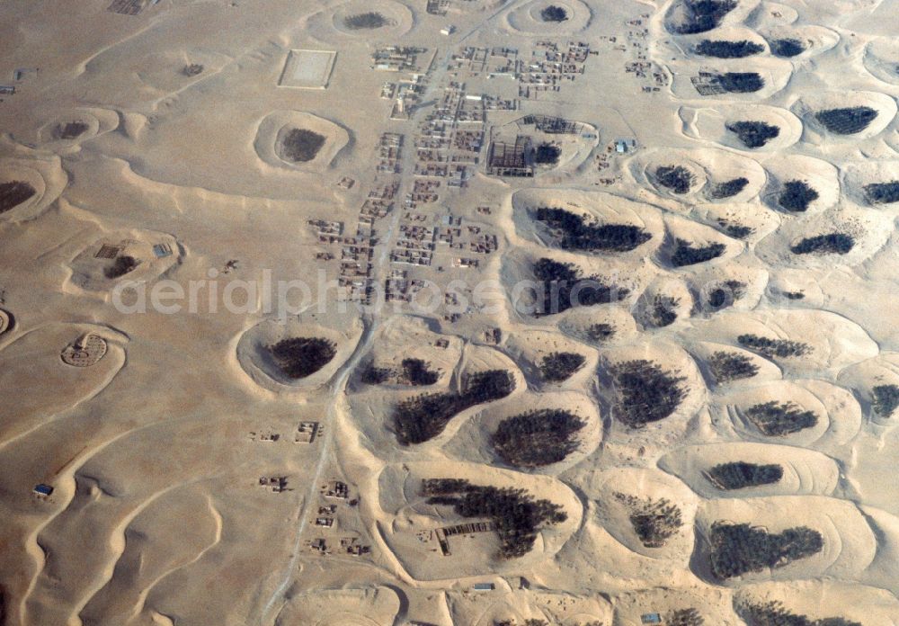 El Oued from above - Palms cultivation near by El Oued in Algeria