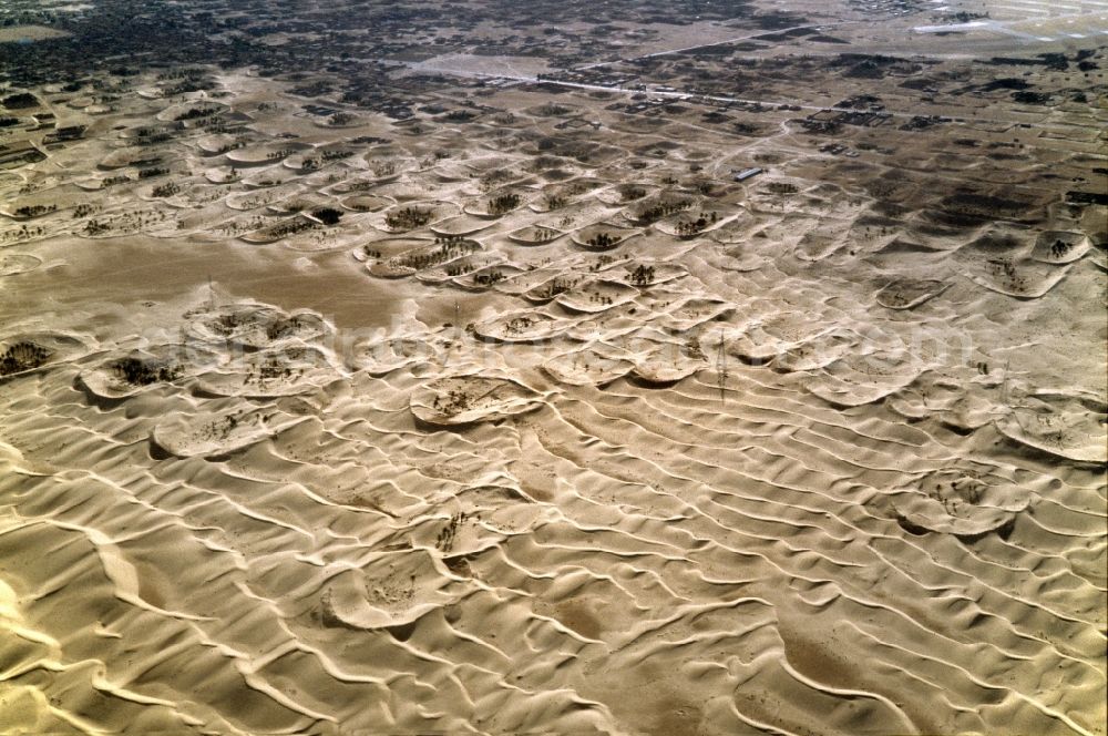 El Oued from above - Palms cultivation near by El Oued in Algeria