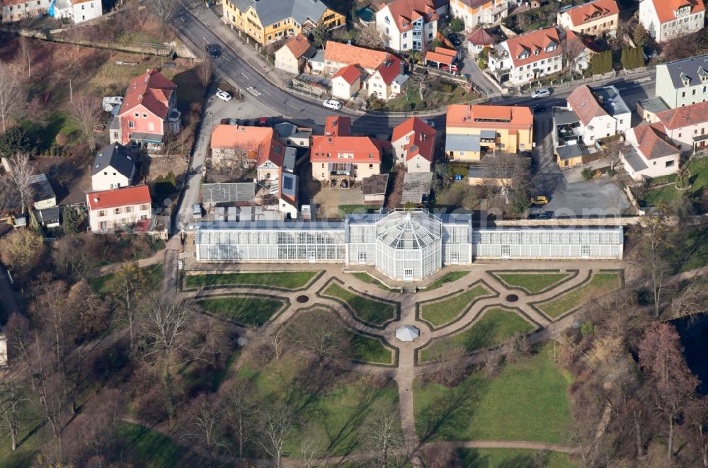 Dresden from the bird's eye view: Palm House at Pillnitz Castle Park in Dresden in Saxony