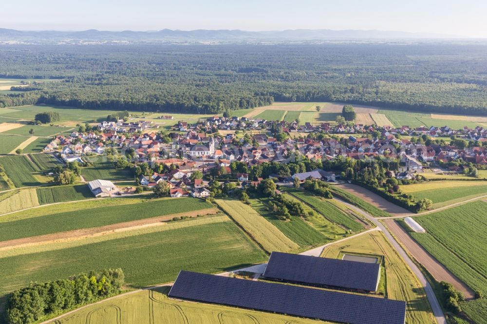 Aerial photograph Niederlauterbach - Panel rows of photovoltaic on the roofs of 2 barns in Niederlauterbach in Grand Est, France