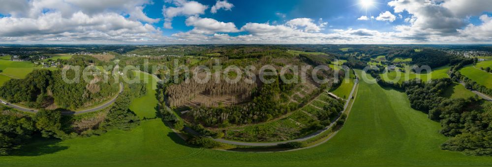 Aerial image Odenthal - Panoramic perspective tree dying and forest dying with skeletons of dead trees in the remnants of a forest area in the district Voiswinkel in Odenthal in the state North Rhine-Westphalia, Germany