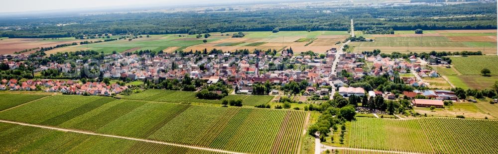 Hochstadt (Pfalz) from above - Panoramic perspective Village - view on the edge of agricultural fields and farmland in Hochstadt (Pfalz) in the state Rhineland-Palatinate, Germany