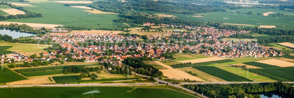 Aerial image Rountzenheim - Panoramic perspective Village - view on the edge of agricultural fields and farmland in Rountzenheim in Grand Est, France