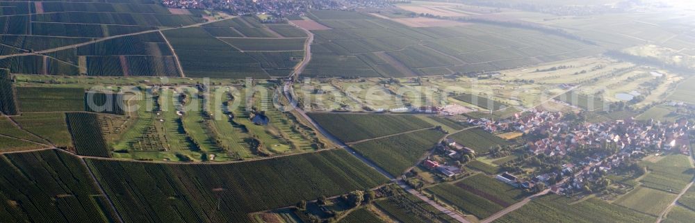 Aerial image Dackenheim - Grounds of the Golf course at Golfgarten Deutsche Weinstrasse in Dackenheim in the state Rhineland-Palatinate