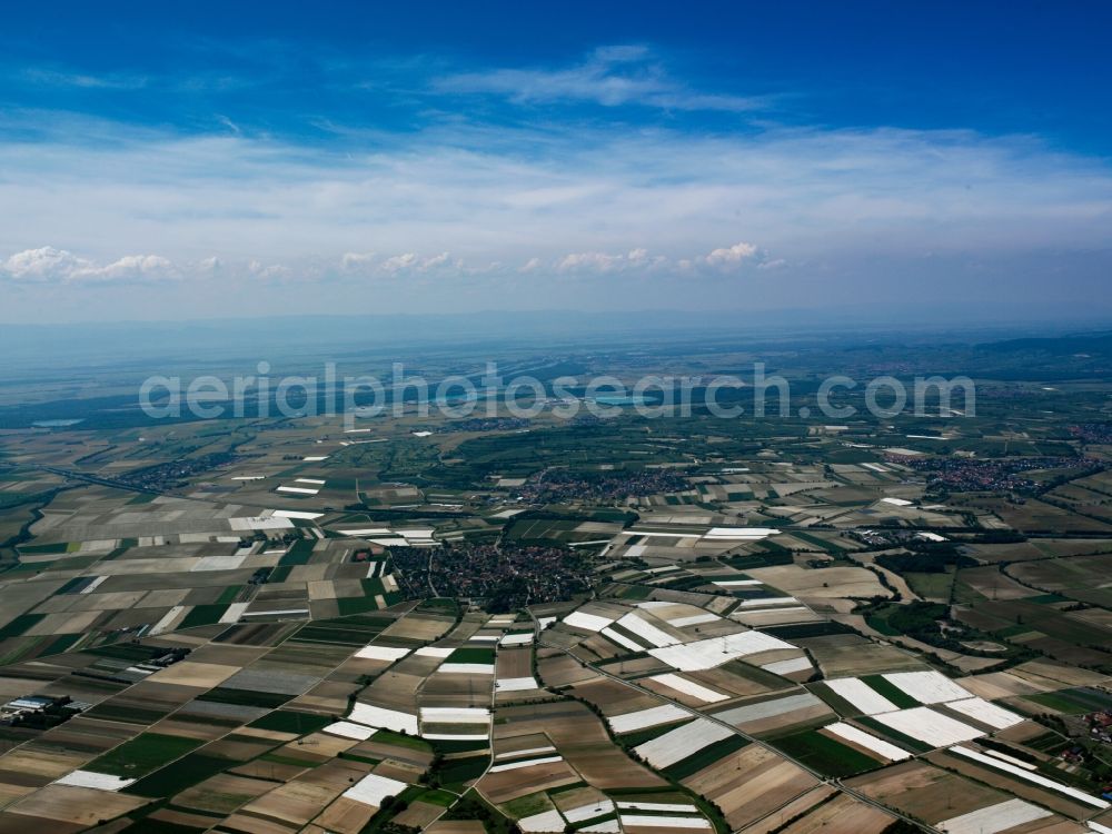 Freiburg im Breisgau from above - Panoramic view and landscape of the North of Freiburg in the state of Baden-Wuerttemberg. The North of Freiburg is characterised by agricultural spaces and fields of the Breisgau region