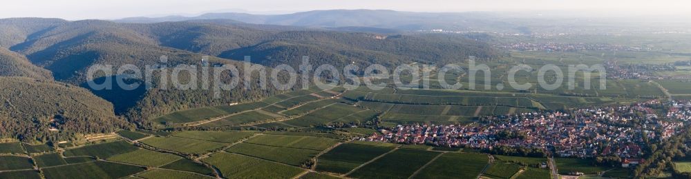 Deidesheim from the bird's eye view: Panorama from the local area and environment in Deidesheim in the state Rhineland-Palatinate