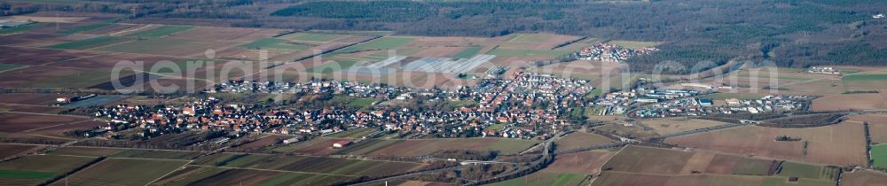 Schwegenheim from the bird's eye view: Panorama from the local area and environment in Schwegenheim in the state Rhineland-Palatinate