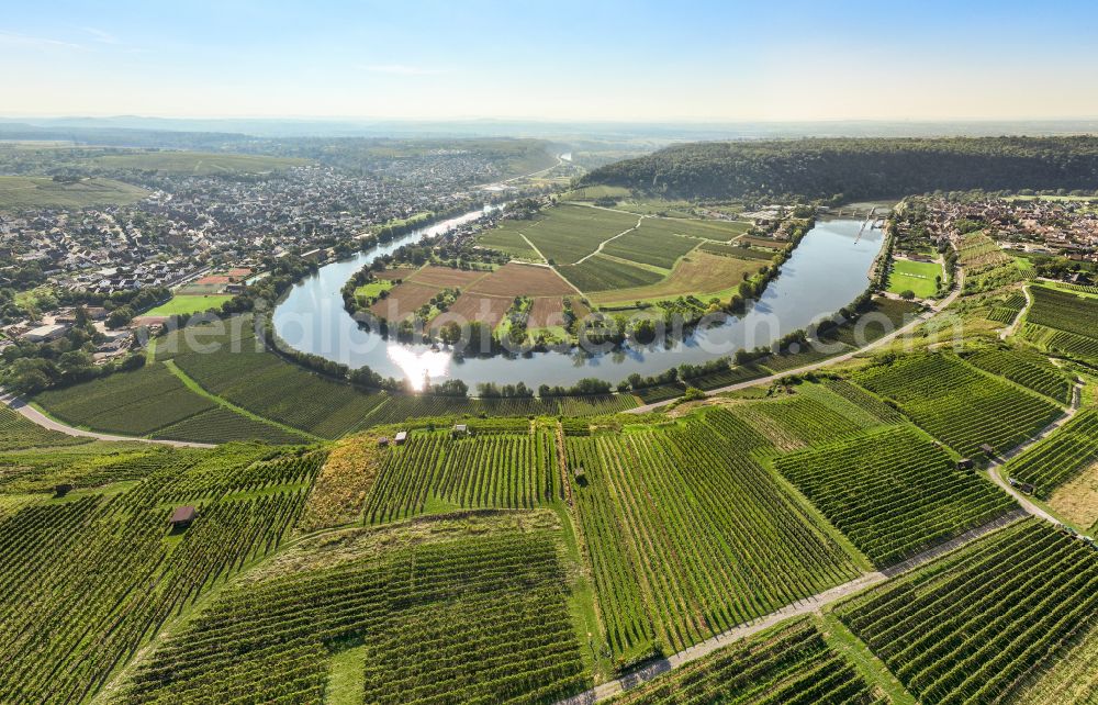 Aerial image Mundelsheim - Panoramic perspective fields of a vineyard and vine landscape of the winegrowing areas on the Neckar loop in Mundelsheim Neckartal in the state of Baden-Wuerttemberg, Germany