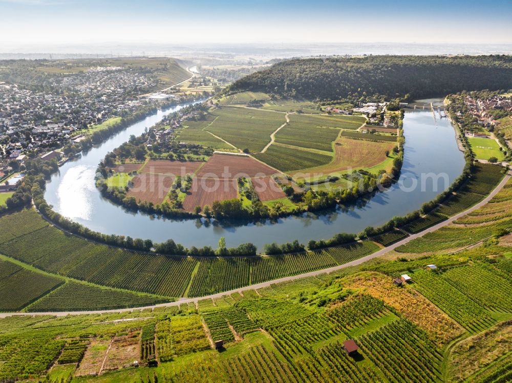 Aerial photograph Mundelsheim - Panoramic perspective fields of a vineyard and vine landscape of the winegrowing areas on the Neckar loop in Mundelsheim Neckartal in the state of Baden-Wuerttemberg, Germany