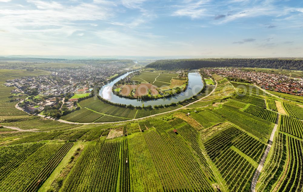 Mundelsheim from above - Panoramic perspective fields of a vineyard and vine landscape of the winegrowing areas on the Neckar loop in Mundelsheim Neckartal in the state of Baden-Wuerttemberg, Germany