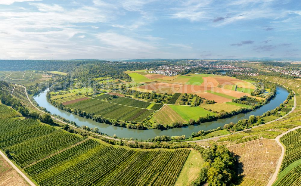 Aerial image Mundelsheim - Panoramic perspective fields of a vineyard and vine landscape of the winegrowing areas on the Neckar loop in Mundelsheim Neckartal in the state of Baden-Wuerttemberg, Germany