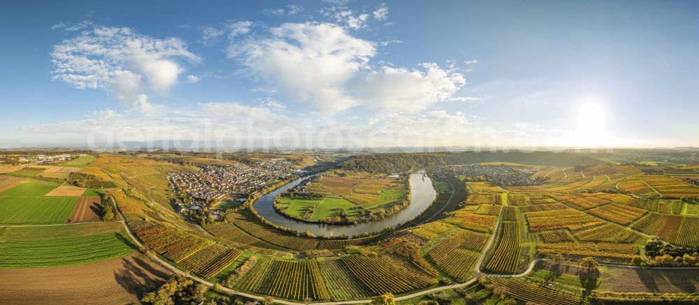 Aerial photograph Mundelsheim - Panoramic perspective fields of a vineyard and vine landscape of the winegrowing areas on the Neckar loop in Mundelsheim Neckartal in the state of Baden-Wuerttemberg, Germany