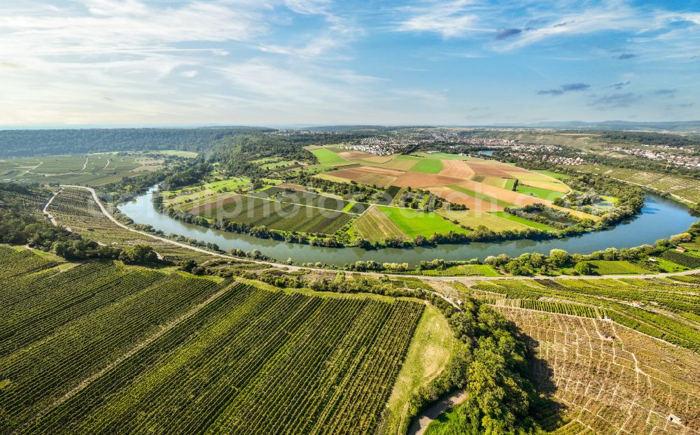 Mundelsheim from above - Panoramic perspective fields of a vineyard and vine landscape of the winegrowing areas on the Neckar loop in Mundelsheim Neckartal in the state of Baden-Wuerttemberg, Germany