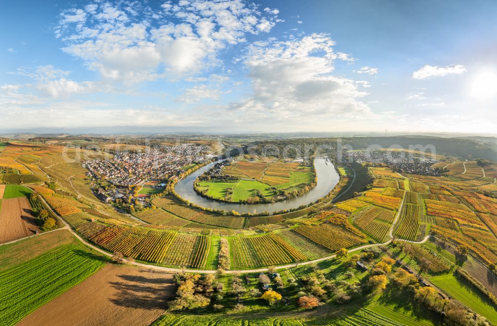 Mundelsheim from the bird's eye view: Panoramic perspective fields of a vineyard and vine landscape of the winegrowing areas on the Neckar loop in Mundelsheim Neckartal in the state of Baden-Wuerttemberg, Germany