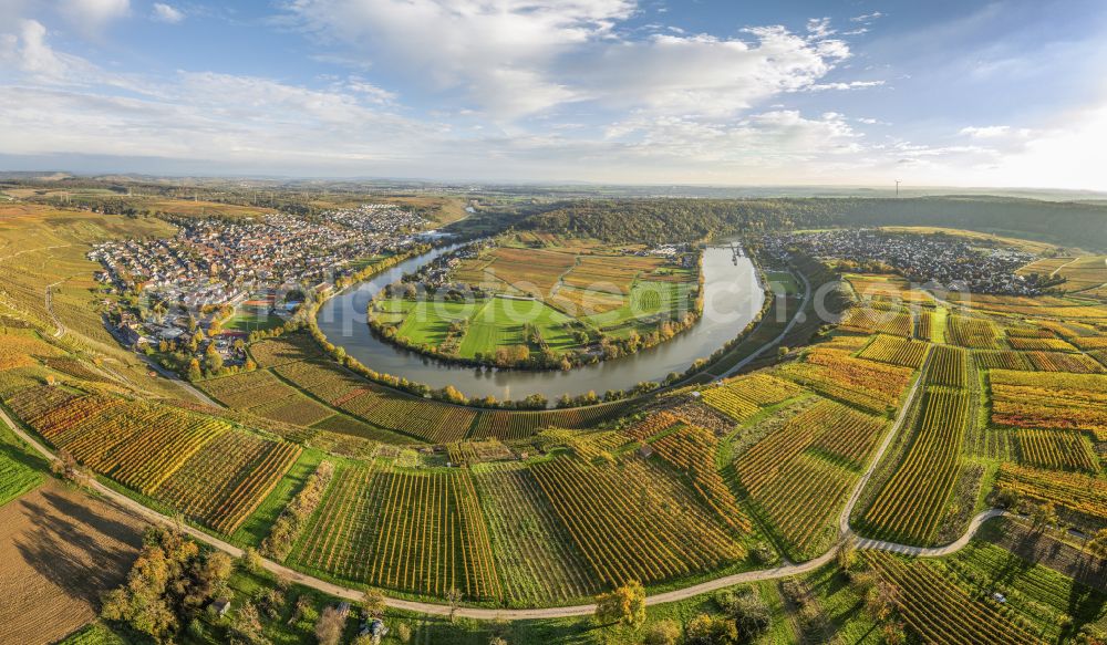 Aerial image Mundelsheim - Panoramic perspective fields of a vineyard and vine landscape of the winegrowing areas on the Neckar loop in Mundelsheim Neckartal in the state of Baden-Wuerttemberg, Germany