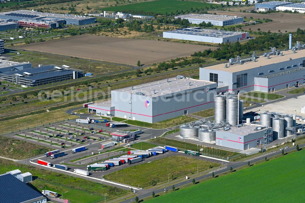 Sandersdorf from the bird's eye view: Paper factory premises of Progroup AG on street Sonnenseite in Sandersdorf in the state Saxony-Anhalt, Germany