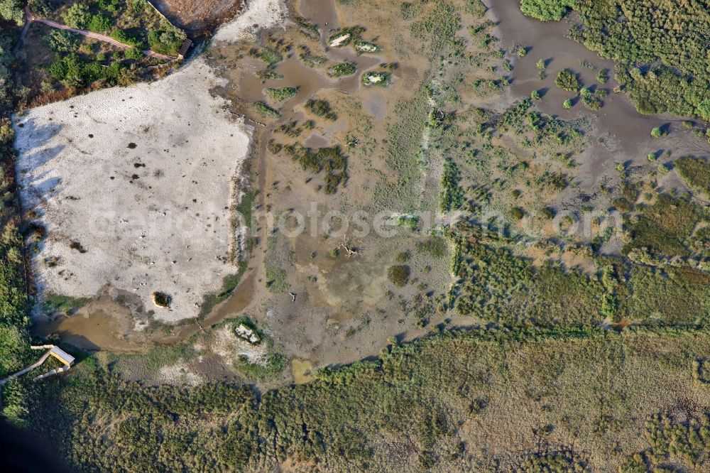 Muro from the bird's eye view: Parc natural de sa Albufera de Mallorca or Parque natural de la Albufera de Mallorca with Ponds and Morast- water surface in a pond landscape in Muro in Balearic Islands, Spain