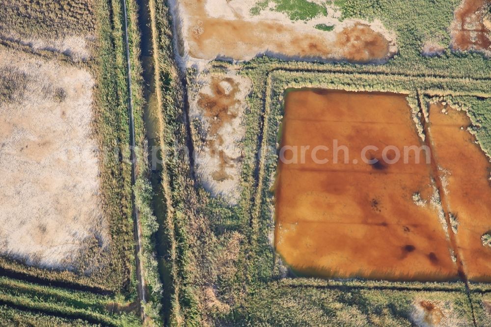 Aerial photograph Muro - Parc natural de sa Albufera de Mallorca or Parque natural de la Albufera de Mallorca with Ponds and Morast- water surface in a pond landscape in Muro in Balearic Islands, Spain