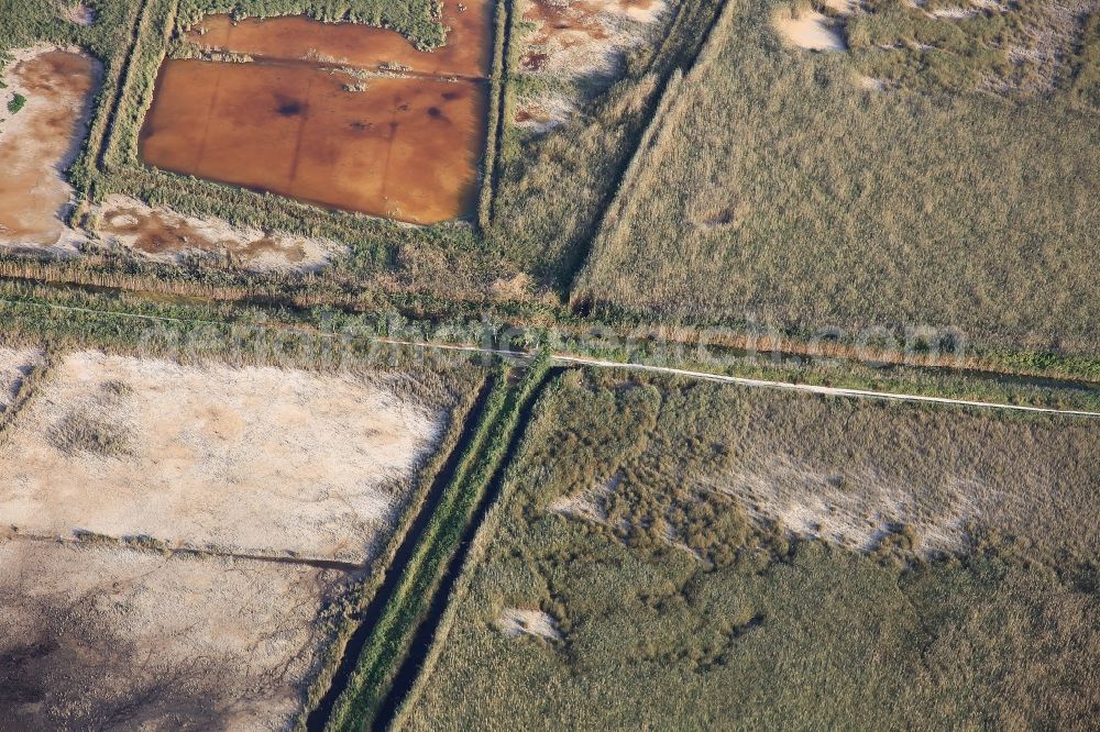 Aerial image Muro - Parc natural de sa Albufera de Mallorca or Parque natural de la Albufera de Mallorca with Ponds and Morast- water surface in a pond landscape in Muro in Balearic Islands, Spain