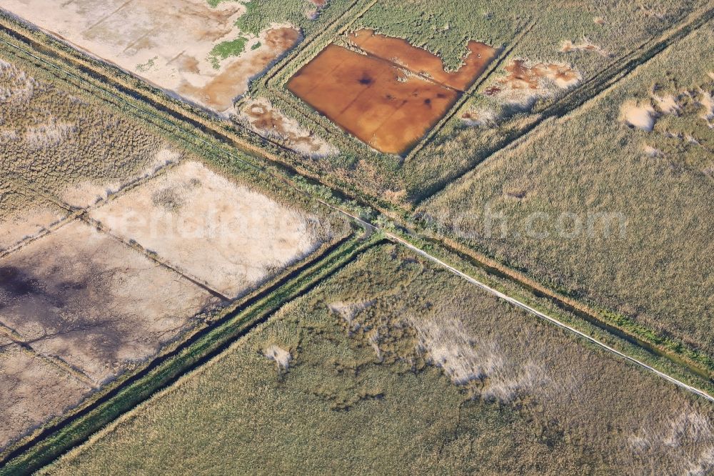 Aerial photograph Muro - Parc natural de sa Albufera de Mallorca or Parque natural de la Albufera de Mallorca with Ponds and Morast- water surface in a pond landscape in Muro in Balearic Islands, Spain