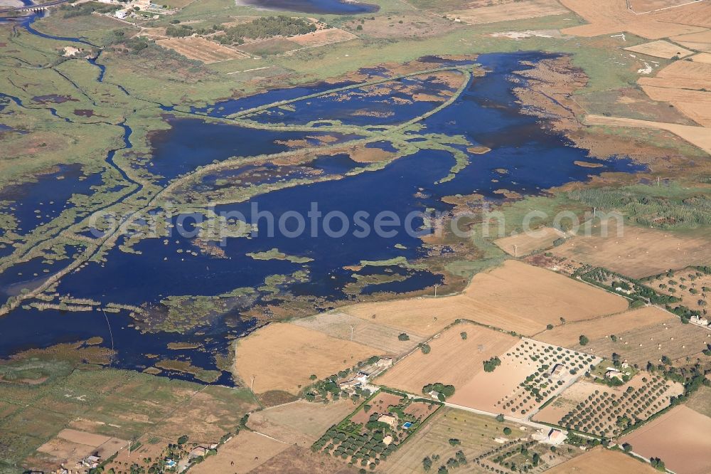 Muro from above - Parc natural de sa Albufera de Mallorca or Parque natural de la Albufera de Mallorca with Ponds and Morast- water surface in a pond landscape in Muro in Balearic Islands, Spain