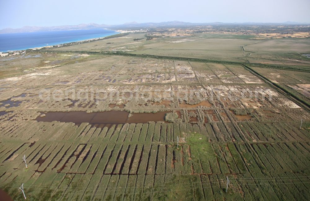 Muro from the bird's eye view: Parc natural de sa Albufera de Mallorca or Parque natural de la Albufera de Mallorca with Ponds and Morast- water surface in a pond landscape in Muro in Balearic Islands, Spain