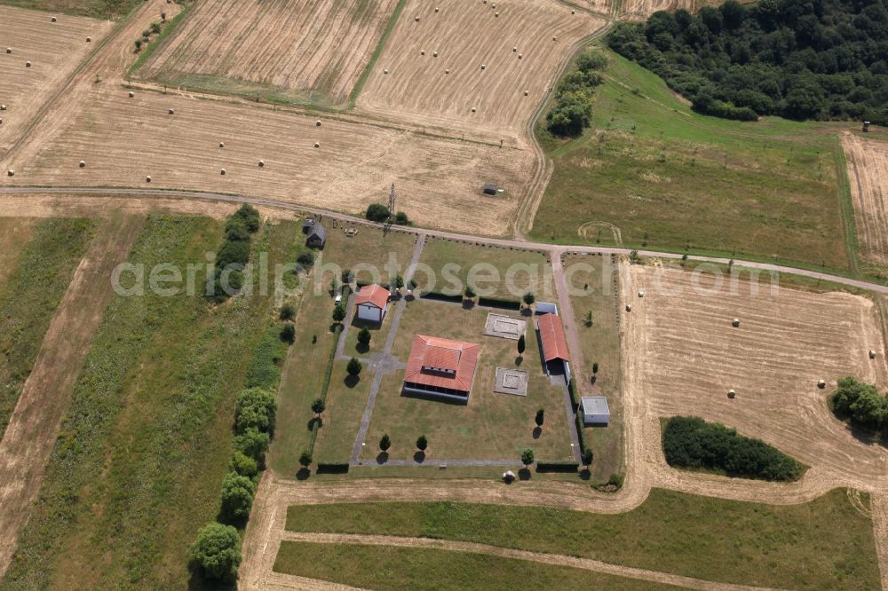 Pommern from above - Park of Archaeological Park Martberg in Pommern in the state Rhineland-Palatinate, Germany