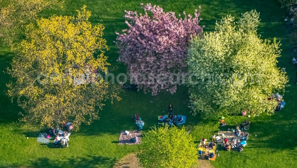 Aerial photograph Duisburg - Park of in the district Meiderich-Beeck in Duisburg in the state North Rhine-Westphalia