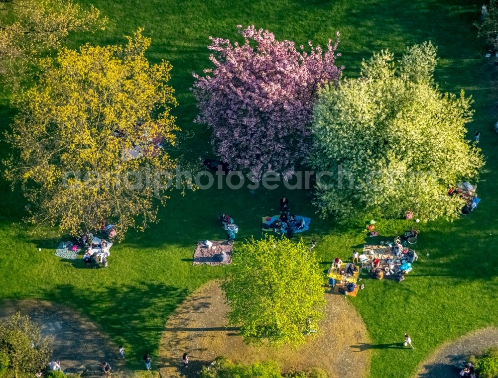 Duisburg from above - Park of in the district Meiderich-Beeck in Duisburg in the state North Rhine-Westphalia