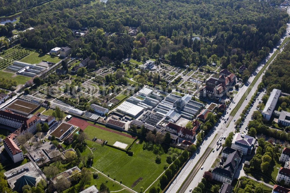 München from the bird's eye view: Park of Botanische Staatssammlung and Botanischer Garten along the Menzinger Strasse in the district Neuhausen-Nymphenburg in Munich in the state Bavaria, Germany