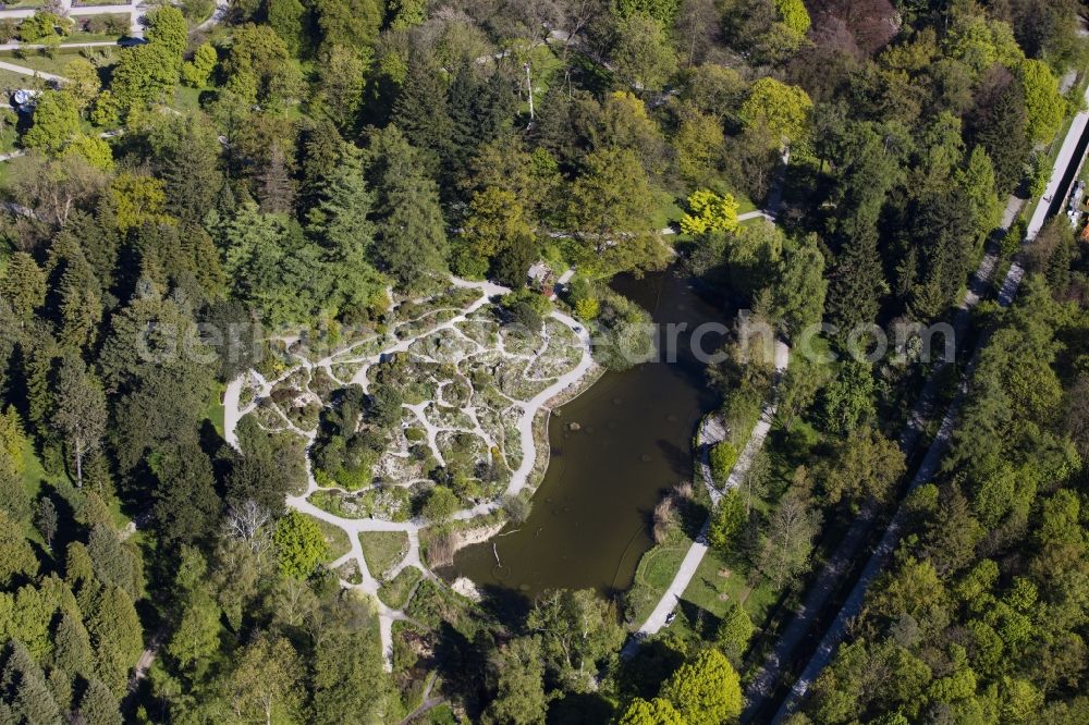 München from the bird's eye view: Park of Botanische Staatssammlung and Botanischer Garten along the Menzinger Strasse in the district Neuhausen-Nymphenburg in Munich in the state Bavaria, Germany