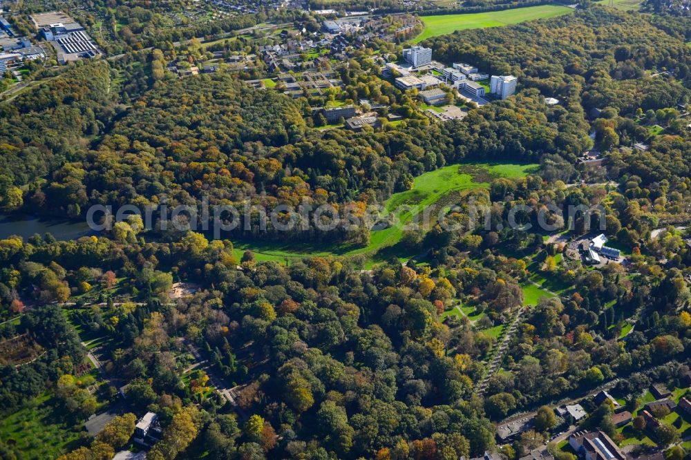 Dortmund from above - Park area of the Botanical Gardens Rombergpark in Dortmund in the state of North Rhine-Westphalia. The park was designed as an English landscape garden and includes forest and a lake