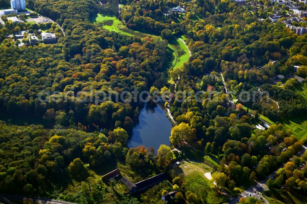 Aerial photograph Dortmund - Park area of the Botanical Gardens Rombergpark in Dortmund in the state of North Rhine-Westphalia. The park was designed as an English landscape garden and includes forest and a lake