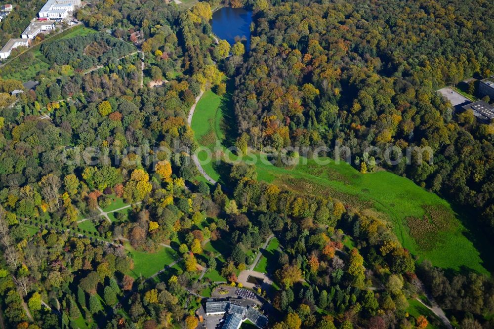 Dortmund from above - Park area of the Botanical Gardens Rombergpark in Dortmund in the state of North Rhine-Westphalia. The park was designed as an English landscape garden and includes forest and a lake