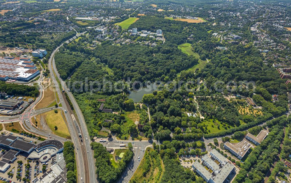 Aerial image Dortmund - Park area of the Botanical Gardens Rombergpark in Dortmund at Ruhrgebiet in the state of North Rhine-Westphalia. The park was designed as an English landscape garden and includes forest and a lake