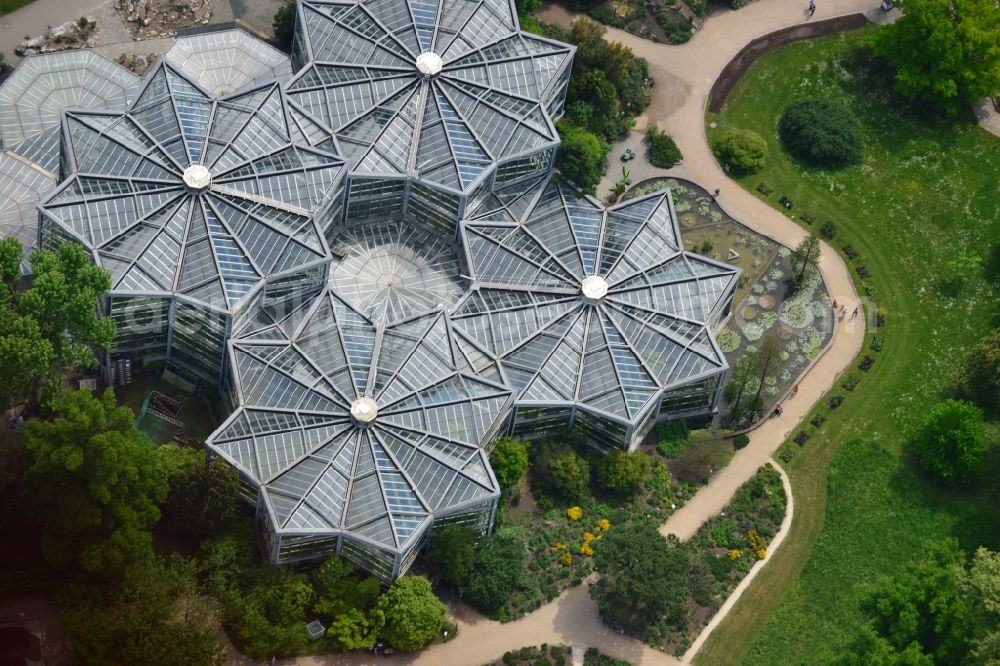 Frankfurt am Main from the bird's eye view: Palm garden, house, in the Park of botanic garden in Frankfurt in the state Hesse