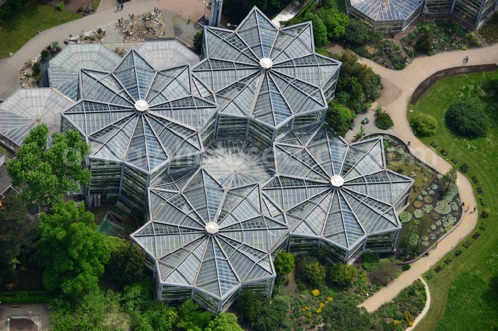 Aerial image Frankfurt am Main - Palm garden, house, in the Park of botanic garden in Frankfurt in the state Hesse